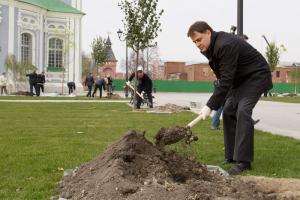 На территории Тульского кремля посадили молодые деревья.