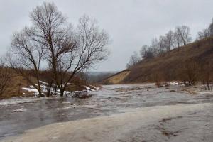 В Ефремове из-за потепления затопило мост и три населенных пункта.