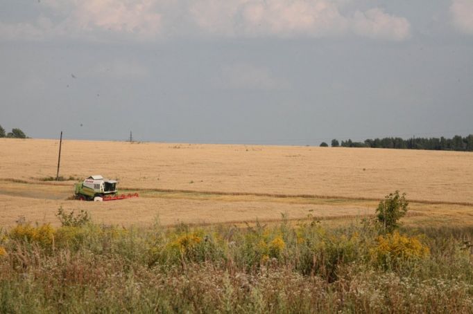 В Тульской области намолотили уже 800 тысяч тонн зерна