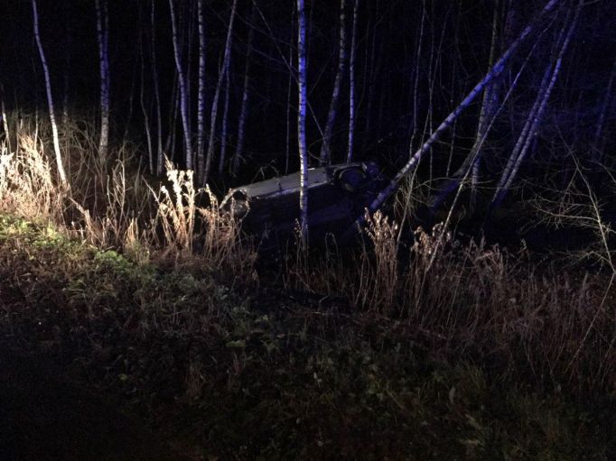 В Щекинском районе молодой водитель врезался в дерево, есть пострадавшие    