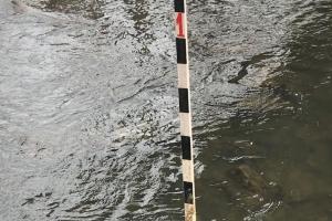 У Нижних Присад уровень воды в Упе поднялся на 1,5 метра.