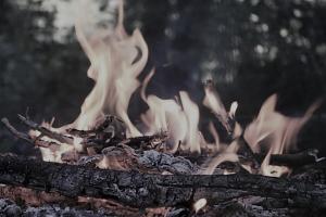 В Тульской области до 14 сентября объявлен 4 класс пожароопасности.