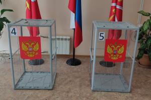 В этом году в Тульской области на выборах могут внедрить дистанционное электронное голосование .
