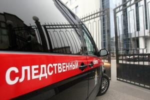 В Щекинском районе обнаружены тела 80-летней женщины и ее 60-летнего сына.