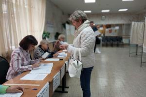 Общественные наблюдатели в Тульской области отметили высокий уровень организации голосования .