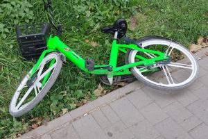 В Туле воровки на велосипедах похитили кусты из «Баташевского сада».