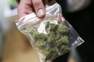 Полицейские арестовали туляка с 4 кг "травы".