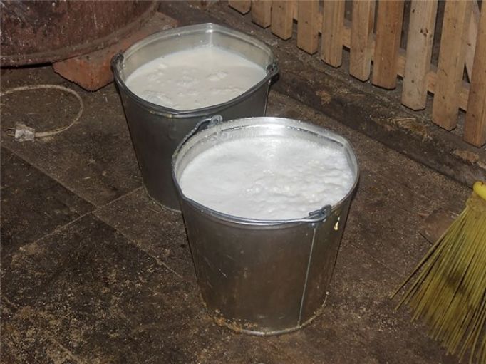 Спад молочного производства в Ленинском и Суворовском районах обусловлен сокращением поголовья