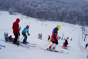 В Тульской области стартовал чемпионат по горным лыжам.