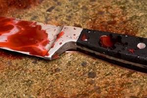 В Киреевском районе пенсионер убил знакомого ножом .