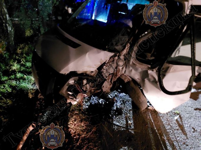 В Узловском районе пьяный водитель протаранил дерево 