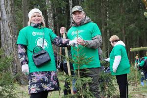 Депутаты Тульской облдумы высадили 215 деревьев в Ясной Поляне.