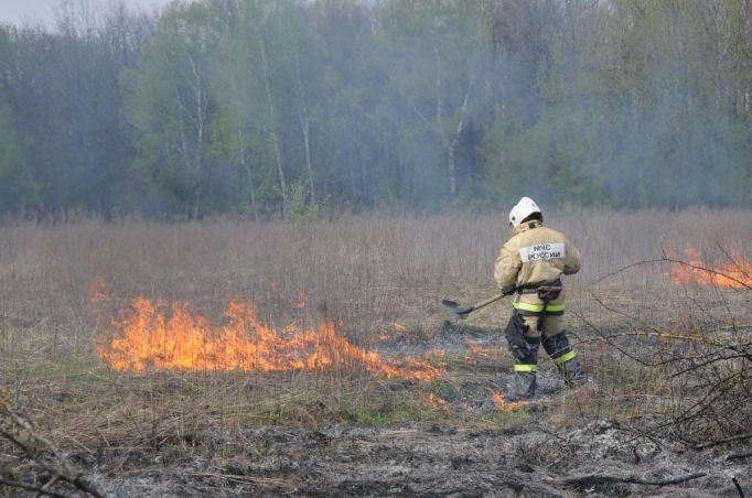 В лесах Тульской области проводится мониторинг пожарной опасности