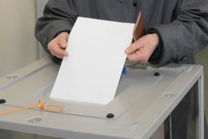 В Тульской области поданы 2680 заявлений на дистанционное электронное участие в выборах .