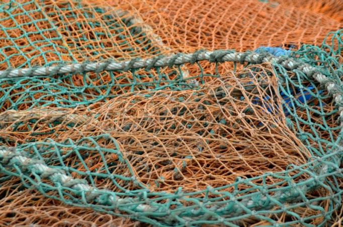 В Кимовском районе рыбак утонул, запутавшись в сети