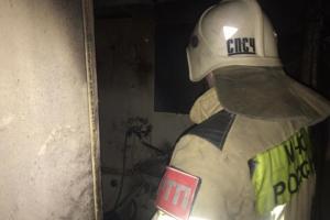 Во время пожара в Туле огнеборцы вывели из задымленных помещений 20 человек.