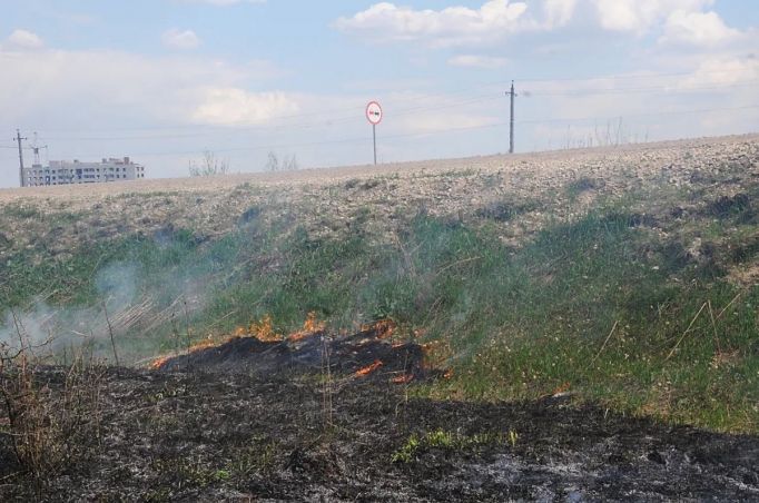 В северной части Тульской области прогнозируют высокую пожароопасность