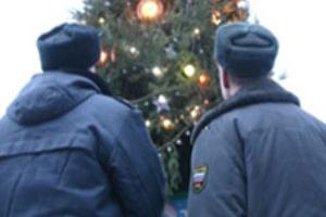 В Тульской области в праздничные дни поймали 82 хулиганов .