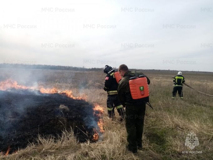 Пожарные боролись с огнем на поле вблизи кимовской деревни Прощеное 