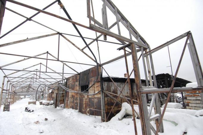 58 жителей Тульской области стали жертвами аферы под видом продажи теплиц