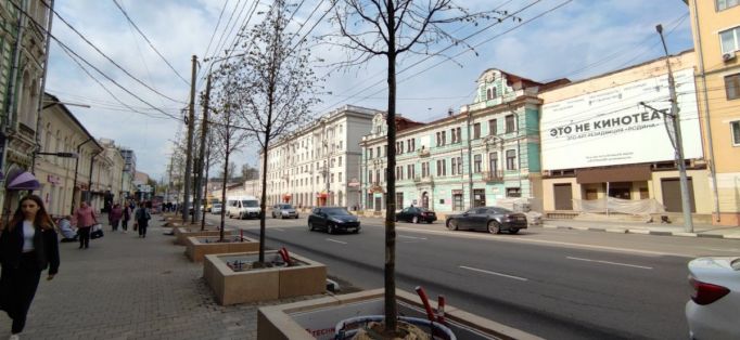 Деревьями на проспекте Ленина в Туле занялась прокуратура 