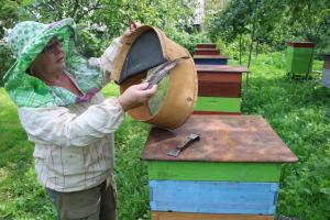 Массовой гибелью пчел в Тульской области займётся прокуратура.