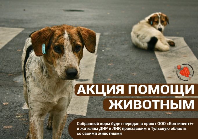 Туляки смогут помочь животным, приехавшим с хозяевами из ДНР и ЛНР