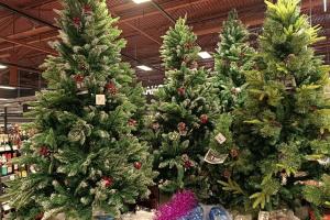 С 20 декабря в Туле можно будет купить новогодние елки.