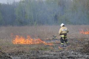 В лесах Тульской области проводится мониторинг пожарной опасности.