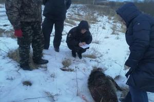 В Тульской области трое охотников подозреваются в браконьерстве .