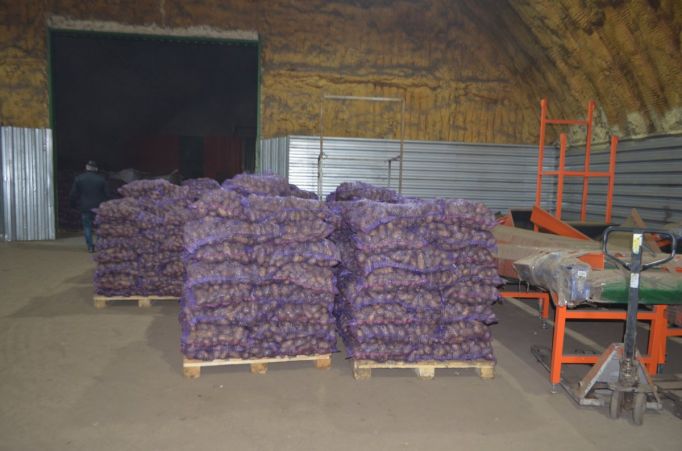 Тульские производители картофеля и овощей смогут рассчитывать на дополнительную поддержку