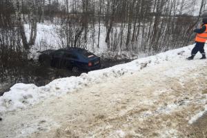 В Тульской области автоледи съехала в кювет, пострадал подросток .