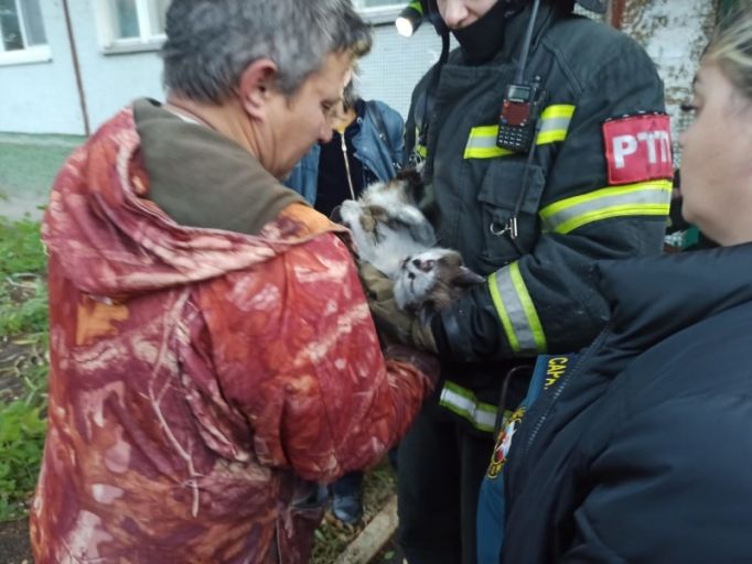 Тульские пожарные эвакуировали 15 человек и спасли кошку из пожара на Фучика