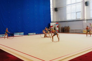 В Туле проходит первенство ЦФО по художественной гимнастике.