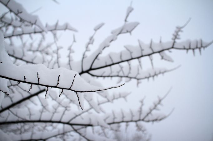 31 января в Туле ожидается снегопад