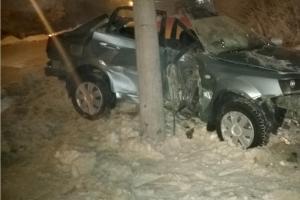 Водитель и пассажир легковушки, влетевшей в столб в Щекино, погибли на месте .