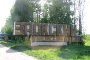 233 жителя Заокского района остаются без электричества.