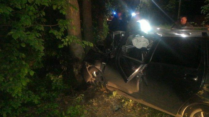 В Донском водитель погиб, врезавшись в дерево