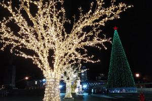 27 декабря в Туле стартует конкурс новогодних креативных елок.
