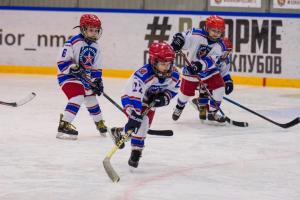 В Туле пройдет турнир памяти хоккеиста Владимира Петрова.