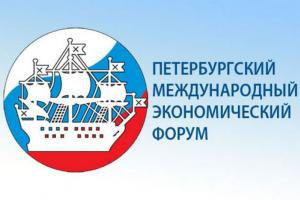 Алексей Дюмин отправится на Петербургский международный экономический форум.