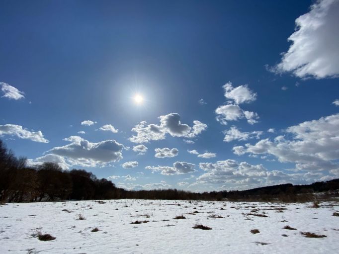 Опасные порывы снежного ветра ожидают Тулу 27 марта