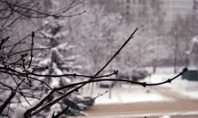 В четверг в Туле пасмурно, небольшой снег