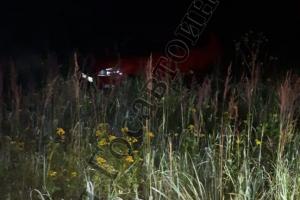 В ночном ДТП в Суворовском районе пострадали 18-летний водитель Skoda и его 17-летняя пассажирка.