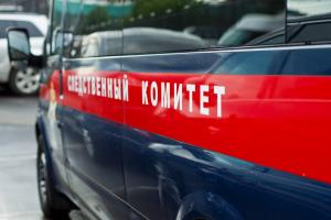 По факту смерти 10-летнего мальчика в Новомосковске от пневмонии возбуждено уголовное дело .