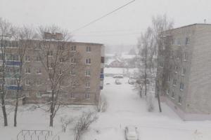 Сегодня в Тульской области – мокрый снег и местами гололедица.