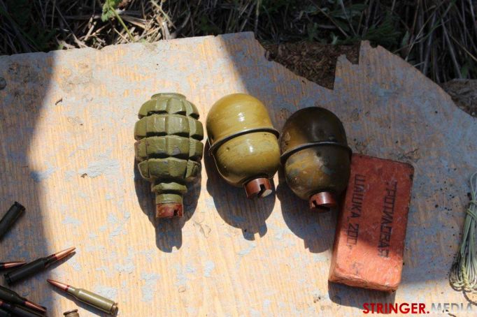 В Тульской области у жителя одного из сел обнаружили гранаты, патроны, тротиловые шашки