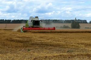 В Минсельхозе России подсчитали: кредитование сезонных полевых работ увеличилось на 2,3%.