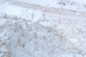 Уборщик из Тюмени не справился с тульскими снегами.