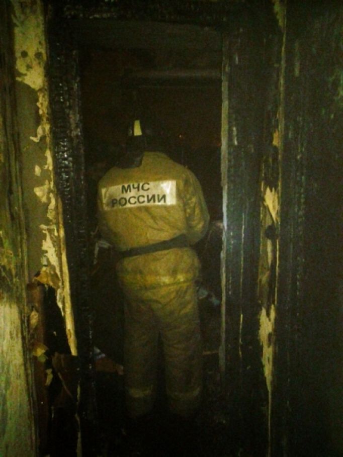 В Новомосковске из пожара спасли 5 человек